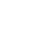 100% Original Paint
